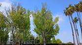 IMG_20230428_143405266