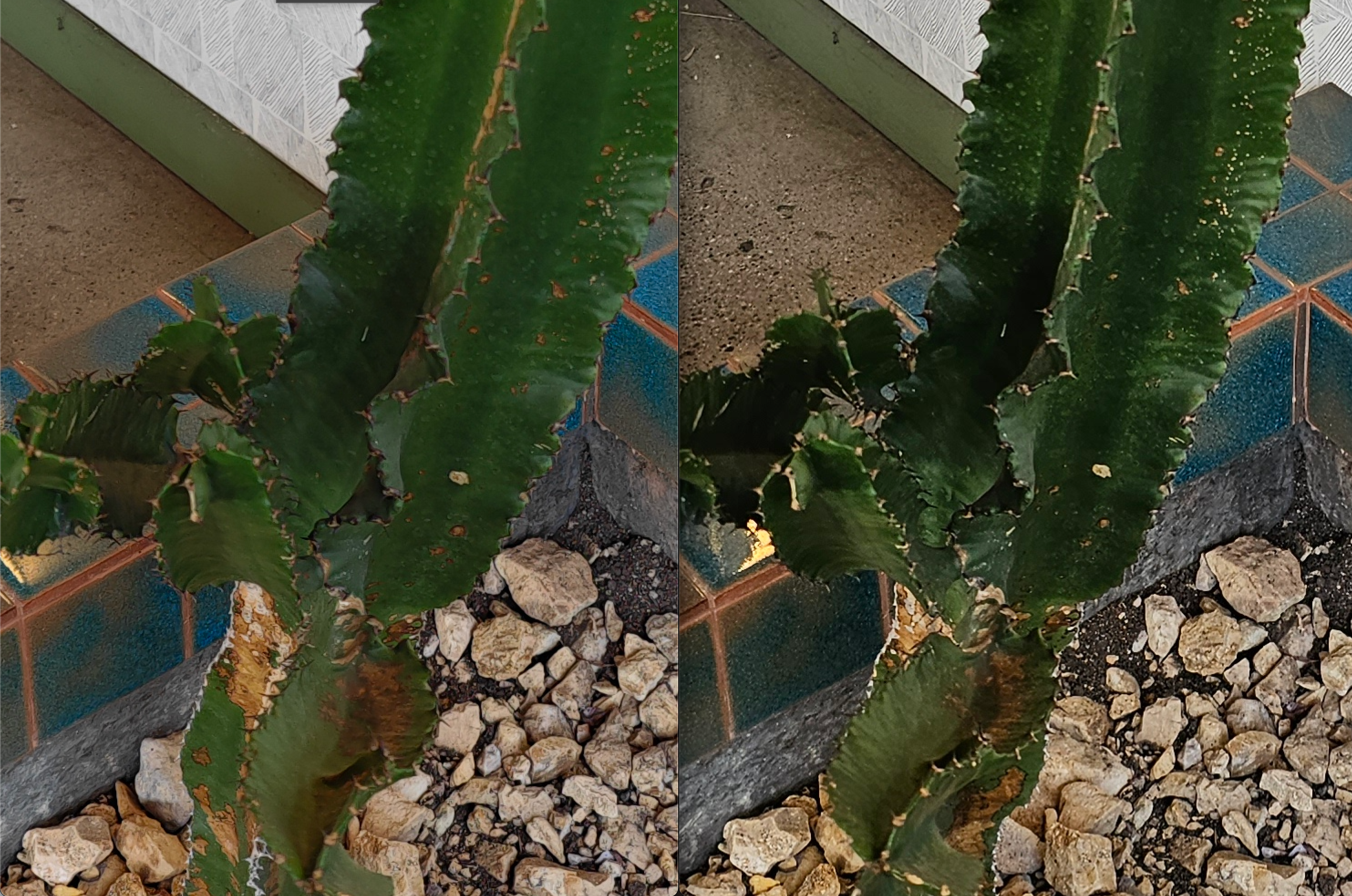 100% crops, Xiaomi 13 Ultra (left) and Galaxy S23 Ultra (right)