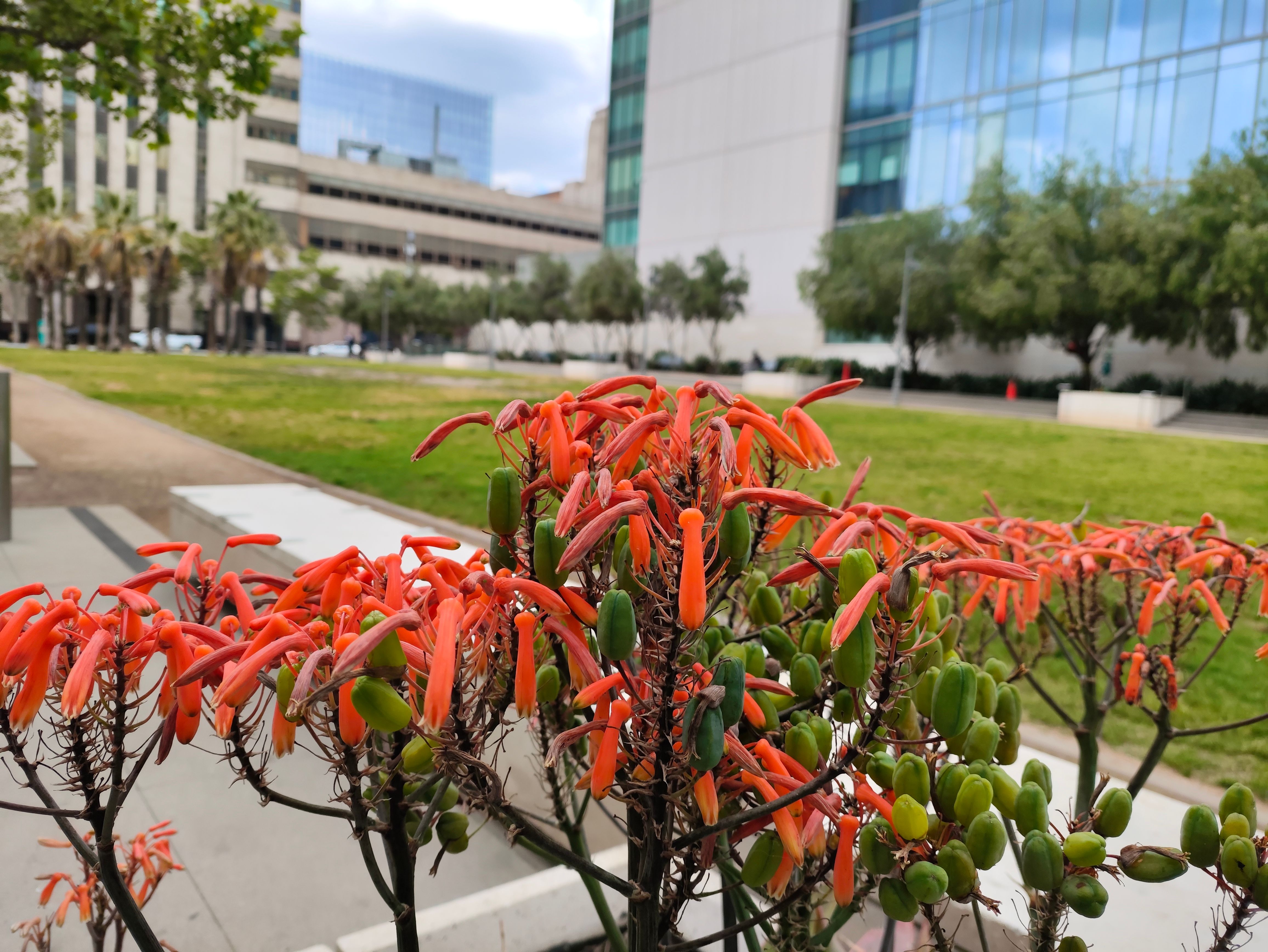 Poco F5 Pro main camera