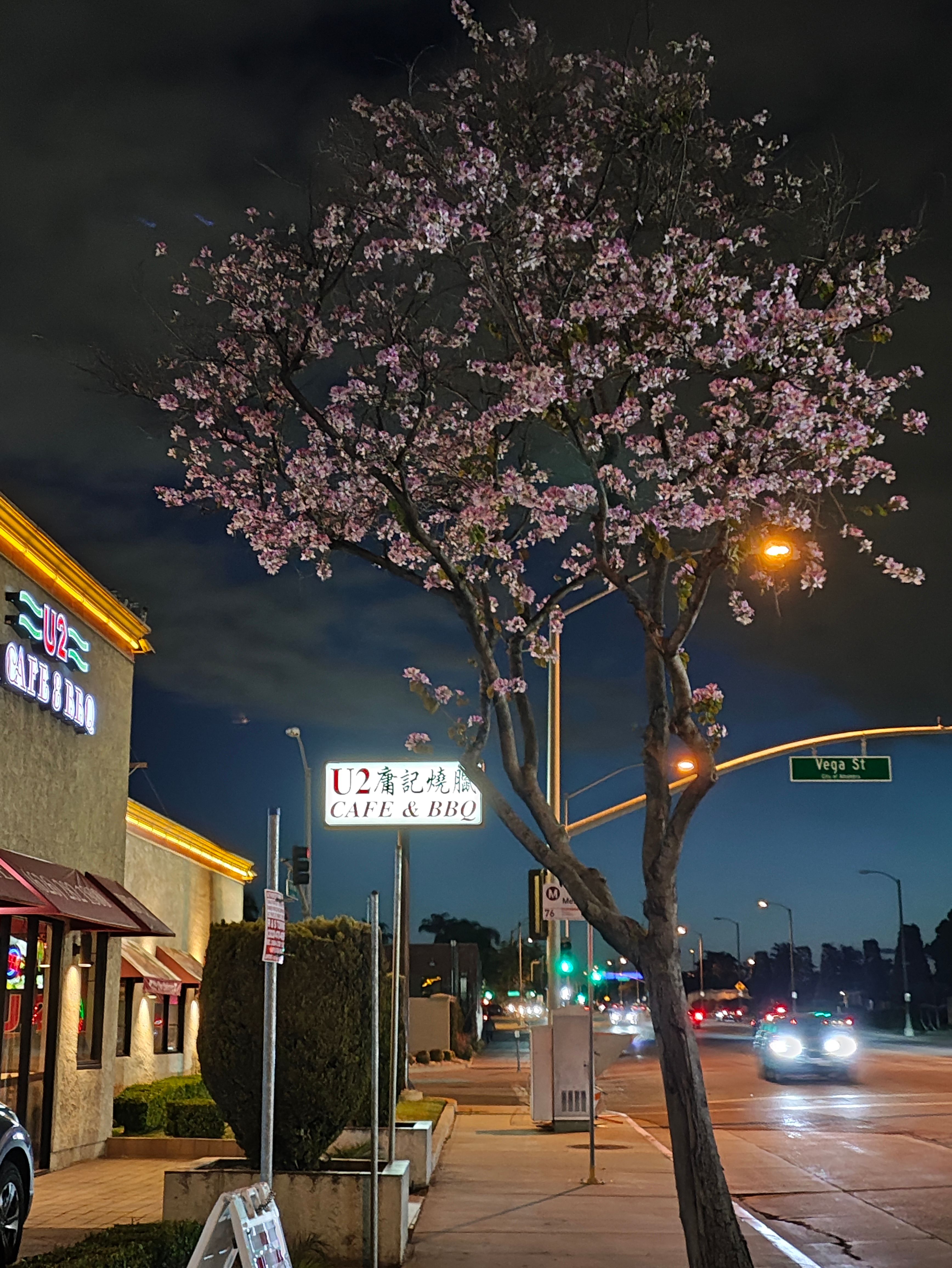 Poco F5 Pro main camera