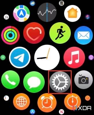 Apple Watch Home Screen