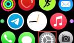 Apple Watch Home Screen
