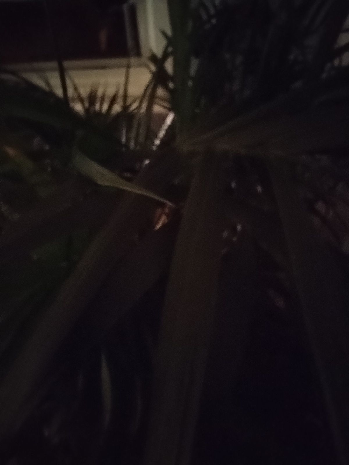 Moto G 5G (2023) night sampleIMG_20230522_211337784