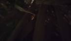Moto G 5G (2023) night sampleIMG_20230522_211337784