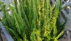 Moto G 5G (2023) sampleIMG_20230521_181402593_HDR