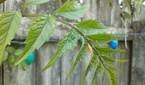 Moto G 5G (2023) sampleIMG_20230521_181550253