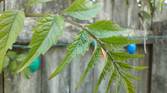 Moto G 5G (2023) sampleIMG_20230521_181550253