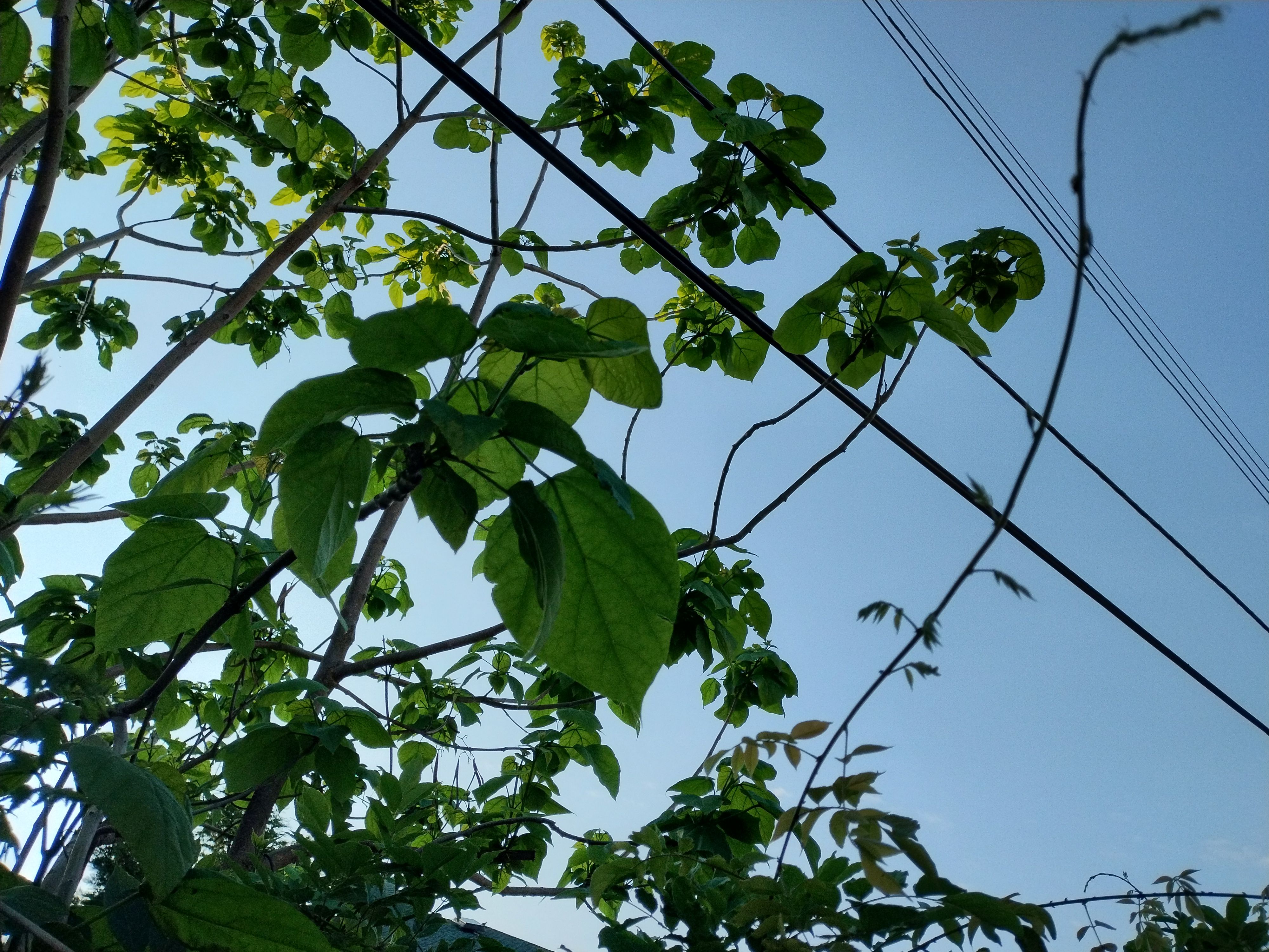 Moto G 5G (2023) sampleIMG_20230521_181605081_HDR
