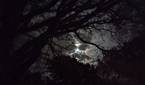 Motorola-Moto-G-Stylus-2023-photo-sample-021