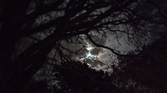 Motorola-Moto-G-Stylus-2023-photo-sample-021