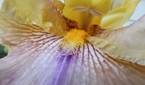 Motorola-Moto-G-Stylus-2023-photo-sample-026