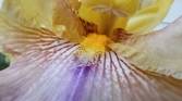 Motorola-Moto-G-Stylus-2023-photo-sample-026