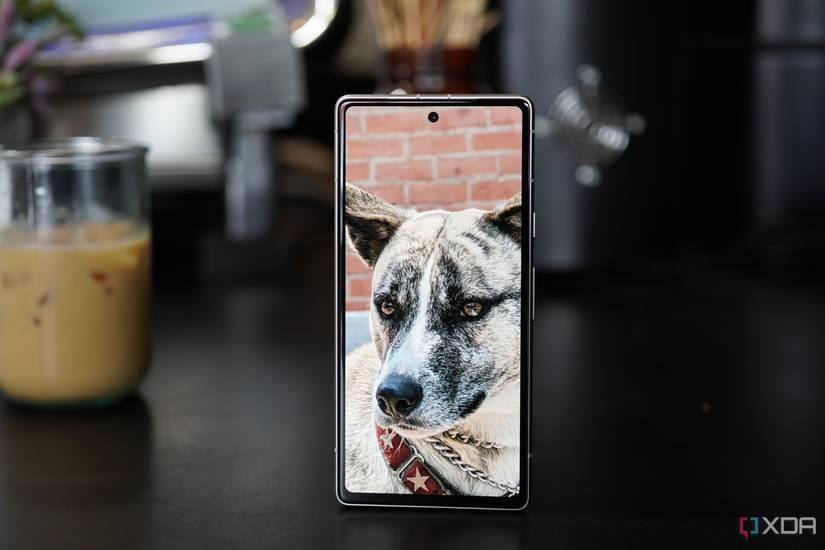 A photo of a dog on the Pixel 7a's display