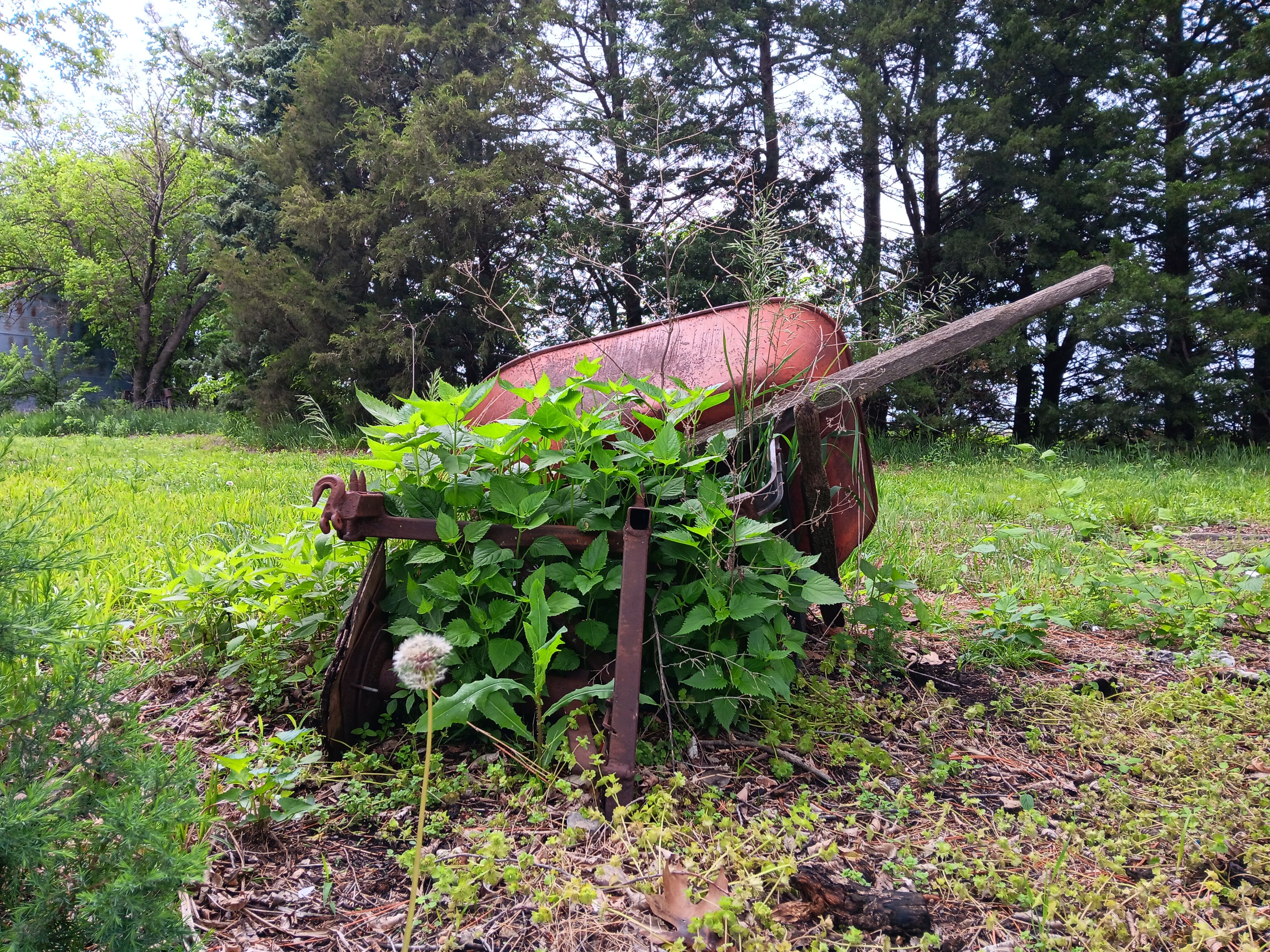 Samsung-Galaxy-A14-5G-photo-sample-013