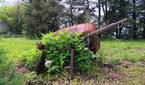 Samsung-Galaxy-A14-5G-photo-sample-013