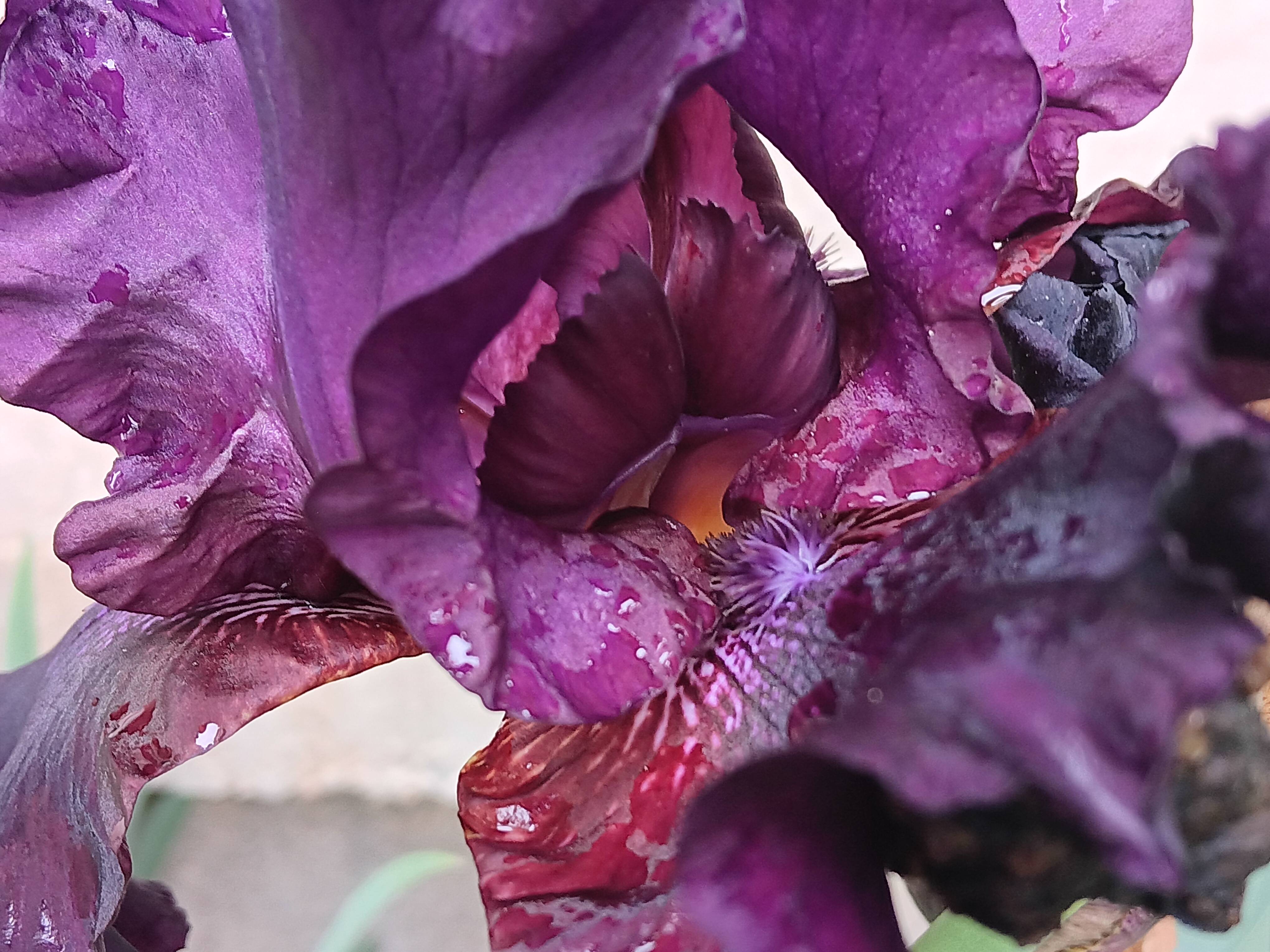 Samsung-Galaxy-A14-5G-photo-sample-015
