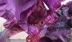 Samsung-Galaxy-A14-5G-photo-sample-015