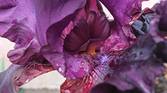 Samsung-Galaxy-A14-5G-photo-sample-015