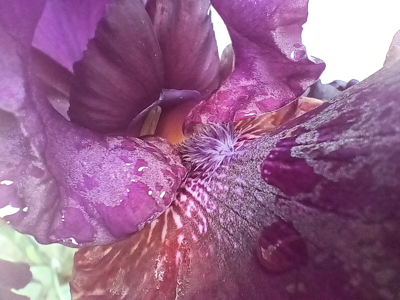 Samsung-Galaxy-A14-5G-photo-sample-016