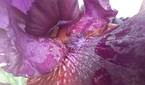 Samsung-Galaxy-A14-5G-photo-sample-016