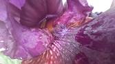 Samsung-Galaxy-A14-5G-photo-sample-016