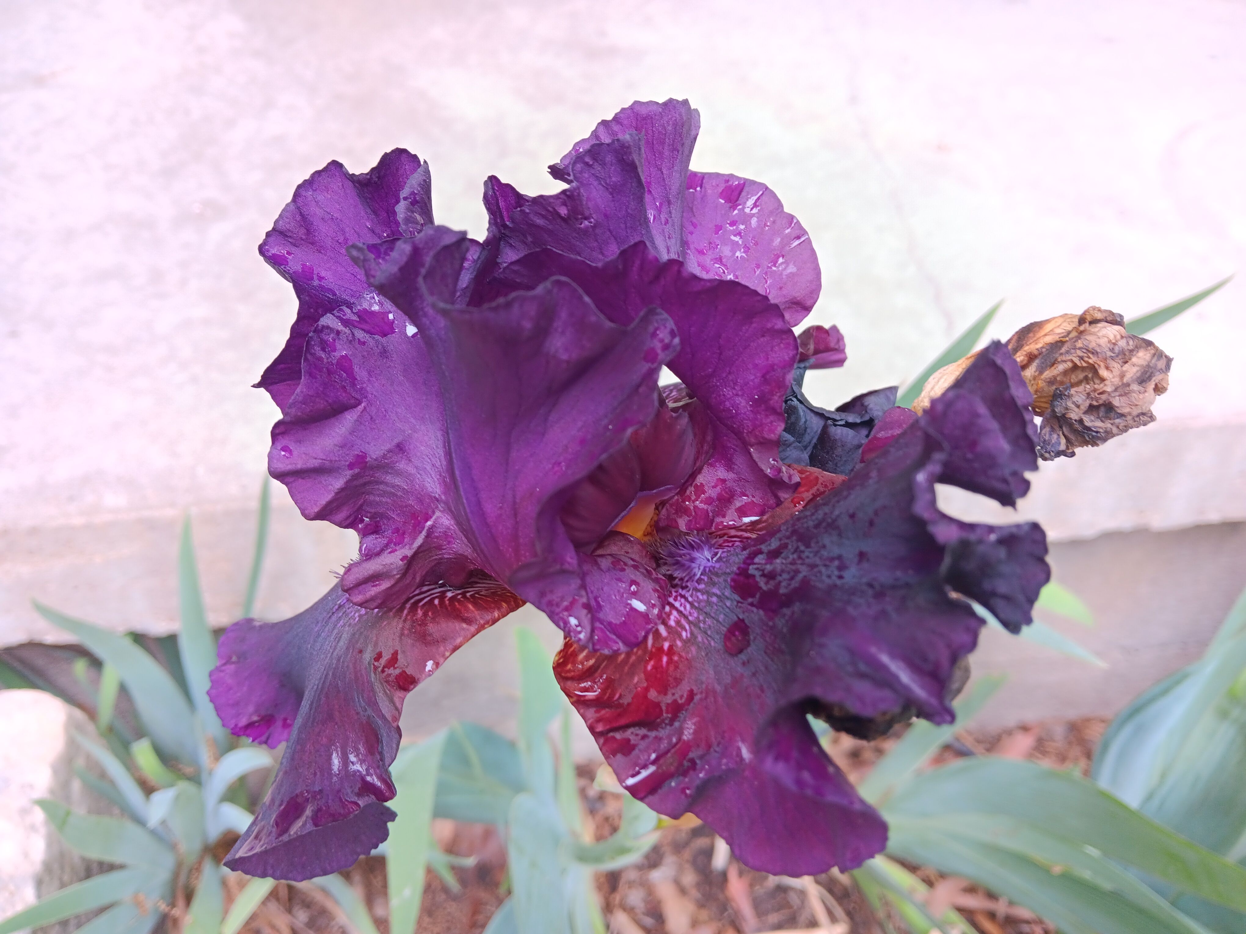Samsung-Galaxy-A14-5G-photo-sample-019