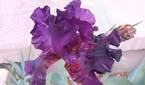 Samsung-Galaxy-A14-5G-photo-sample-019