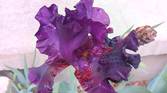 Samsung-Galaxy-A14-5G-photo-sample-019