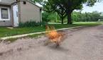 Samsung-Galaxy-A14-5G-photo-sample-020