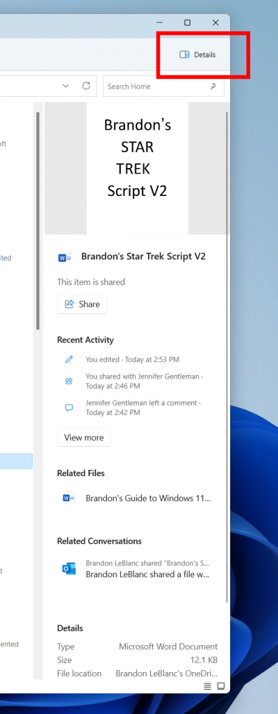 Screenshot of the new Details pane in Windows 11 File Explorer