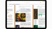 Apple-WWDC23-iPadOS-17-Messages-Notes-230605_big.jpg.medium_2x