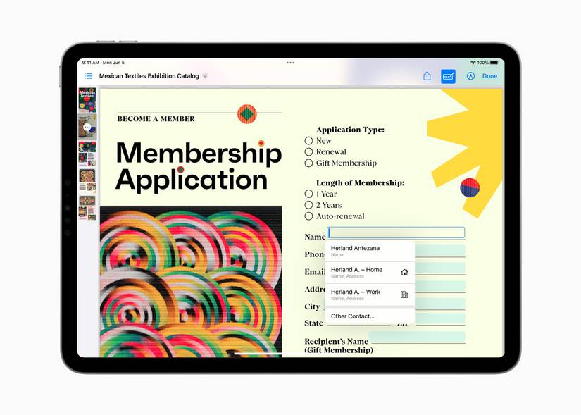 Autofill on a PDF on iPadOS 17