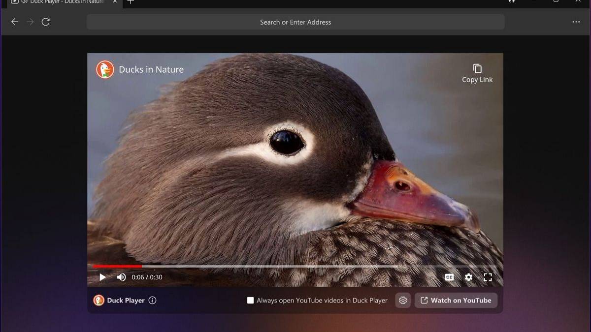 Duck Search DuckDuckGo browser comes to Windows with a ton of privacy and security ...