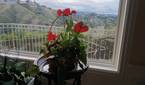 IMG_20230609_194350_9_054735