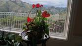 IMG_20230609_194350_9_054735