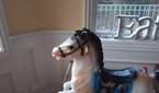IMG_20230609_194353_2_054725