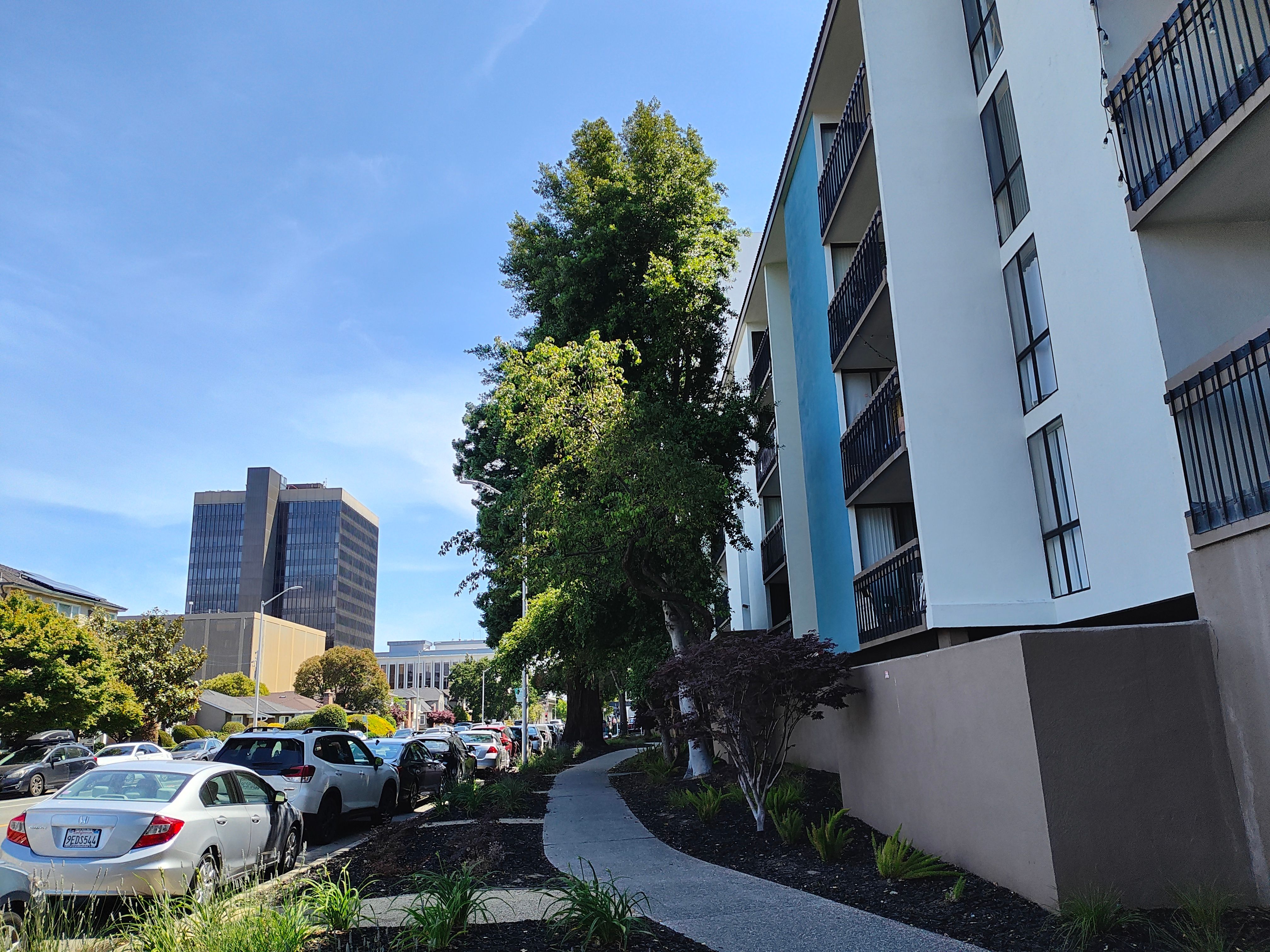 IMG_20230611_105441015_HDR