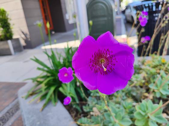IMG_20230611_110347153_HDR