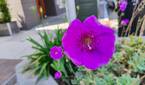 IMG_20230611_110347153_HDR