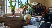 IMG_20230622_145152