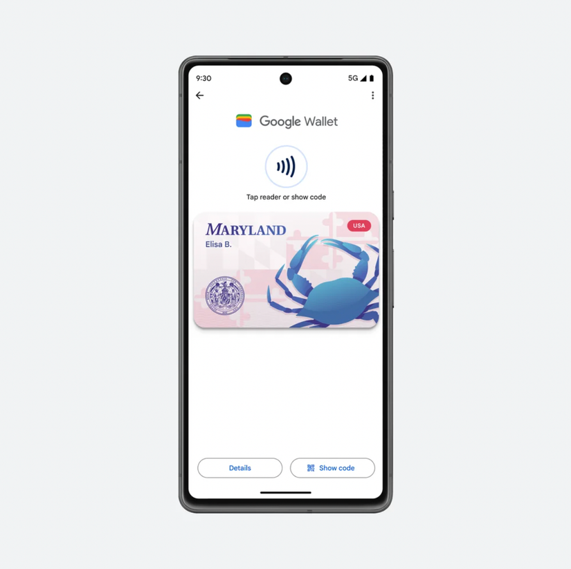 Google Wallet with Maryland ID on display