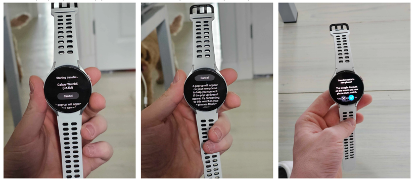 One UI Watch 5 beta transfer in process on Galaxy Watch 