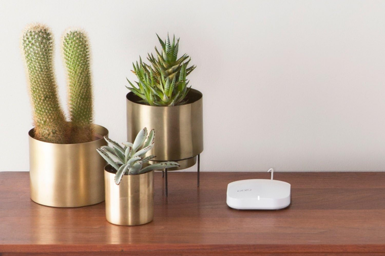A white eero router on table next to cactus and succulents.