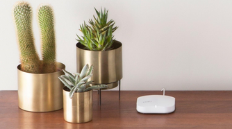 A white eero router on table next to cactus and succulents.