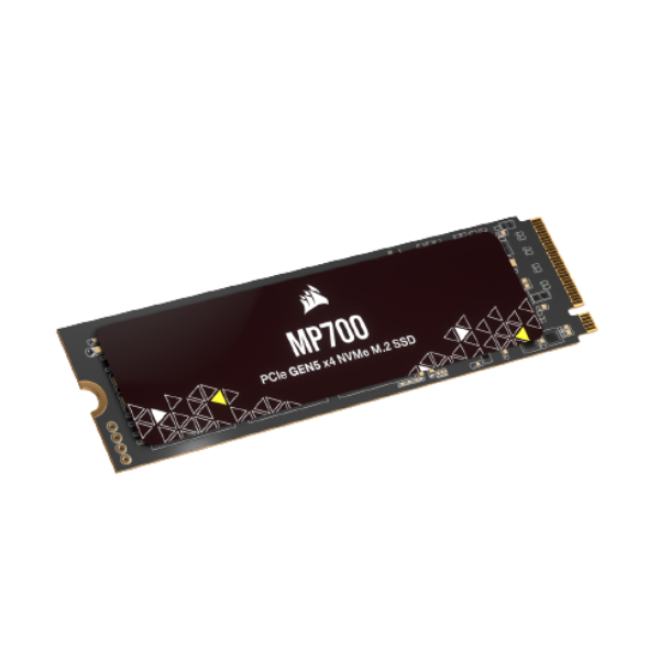  2TB NVME PCle Gen 5 (5x4) SSD E26 Speed 10000 MBs Max :  Electronics