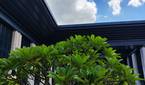 IMG_20230710_135227395