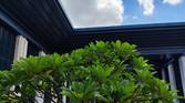 IMG_20230710_135227395