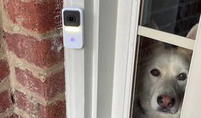 Wyze Video Doorbell installed on a white door pane next to a white dog looking out from inside the house.