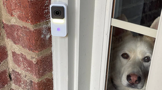 Wyze Video Doorbell installed on a white door pane next to a white dog looking out from inside the house.