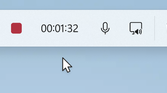 Paint_OverlayRecording